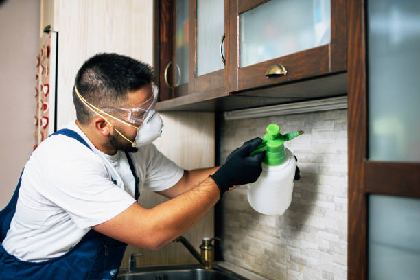 Best Cockroach Control Services  in Brusly, LA