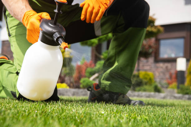 Best Affordable Pest Control Services  in Brusly, LA
