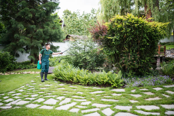 Best Pest Prevention Services  in Brusly, LA