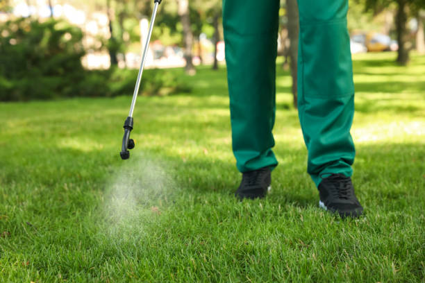 Best Wasp Removal Services  in Brusly, LA