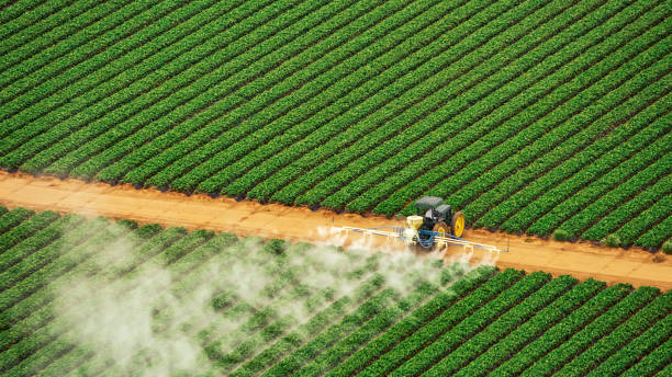 Insect Control in Brusly, LA